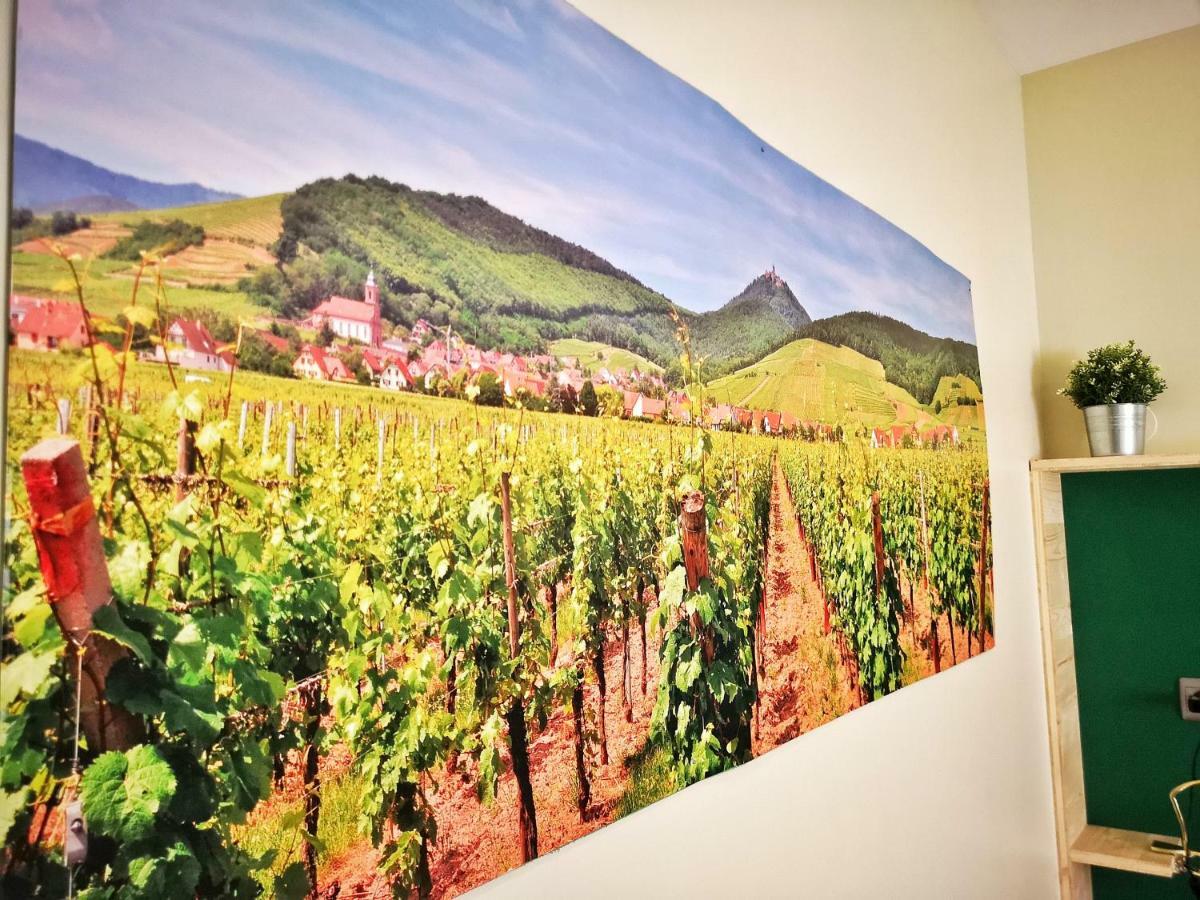Splendide Studio Centre Colmar Dış mekan fotoğraf